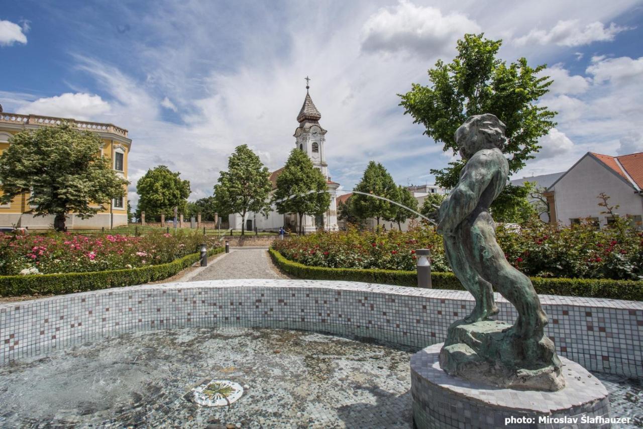 Bed and Breakfast Vila Rosa Вуковар Экстерьер фото