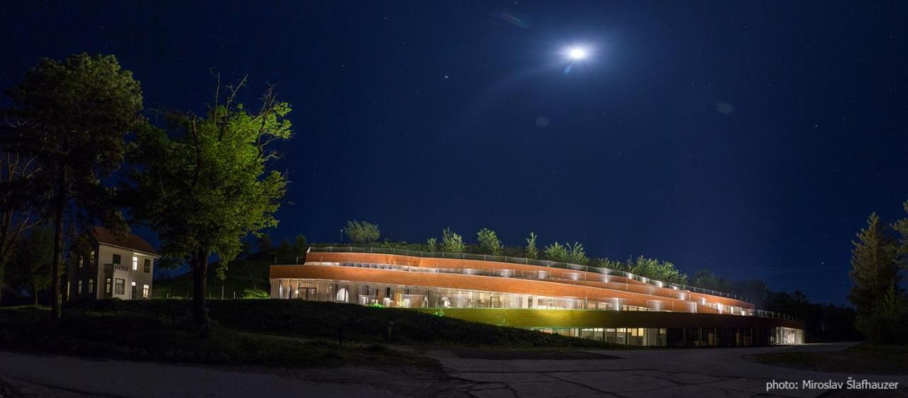 Bed and Breakfast Vila Rosa Вуковар Экстерьер фото
