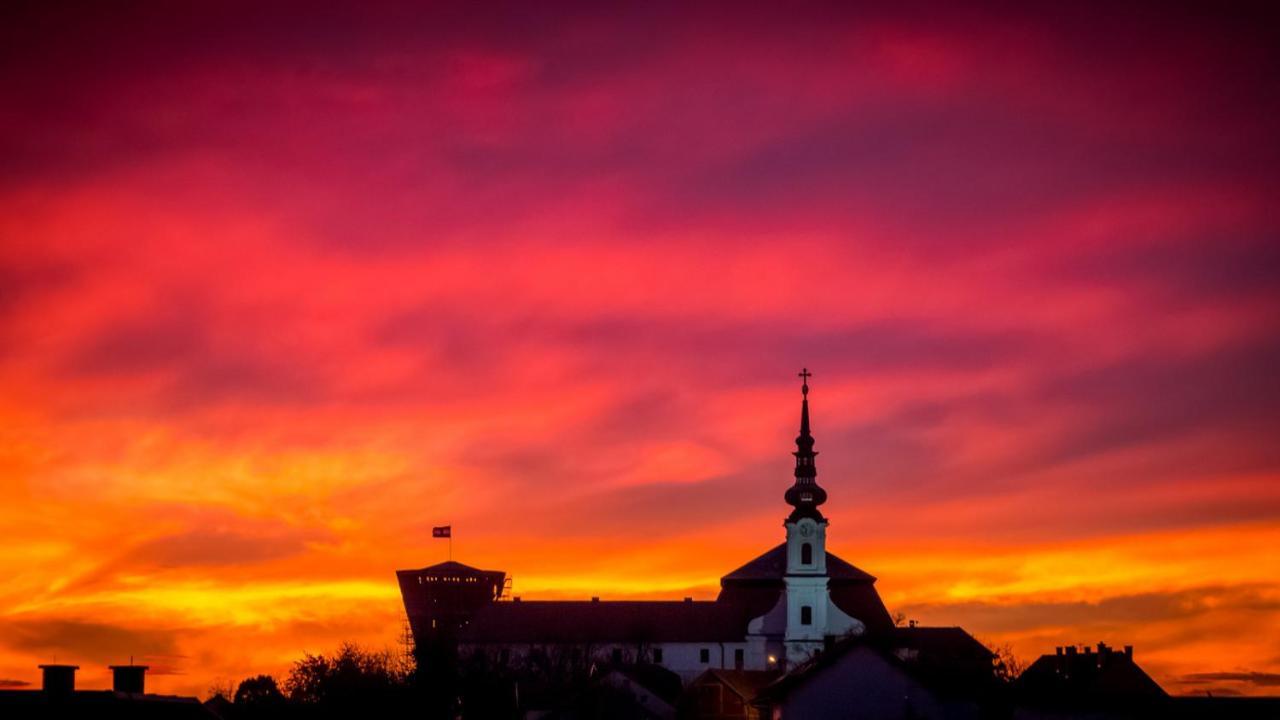Bed and Breakfast Vila Rosa Вуковар Экстерьер фото