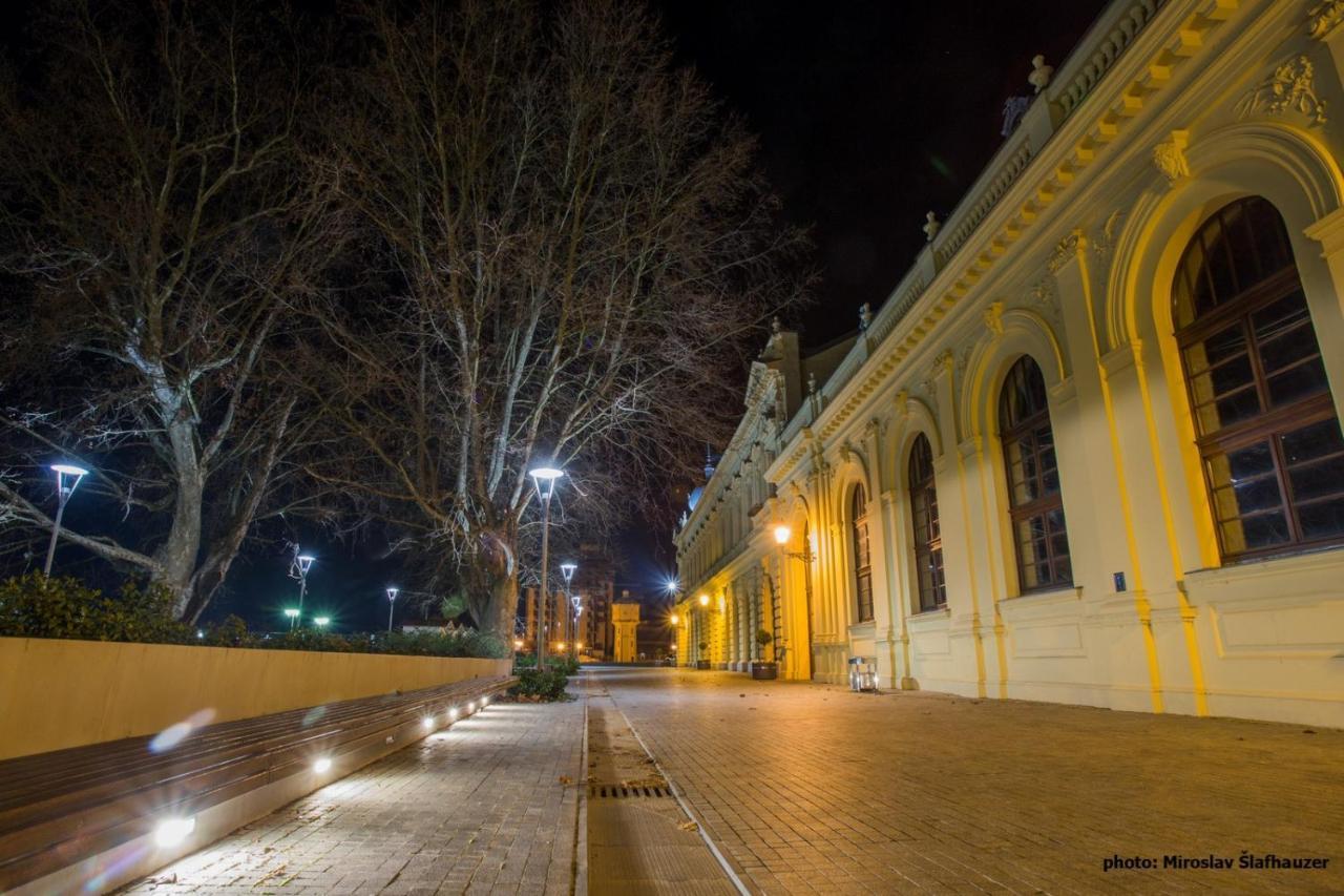 Bed and Breakfast Vila Rosa Вуковар Экстерьер фото